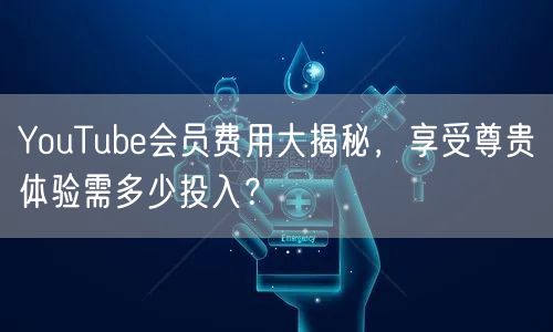 YouTube会员费用大揭秘,享受尊贵体验需多少投入?