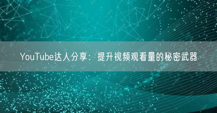 YouTube达人分享：提升视频观看量的秘密武器