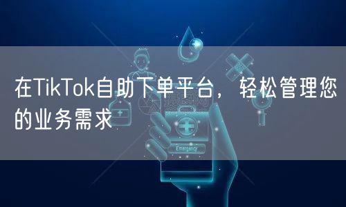 在TikTok自助下单平台,轻松管理您的业务需求
