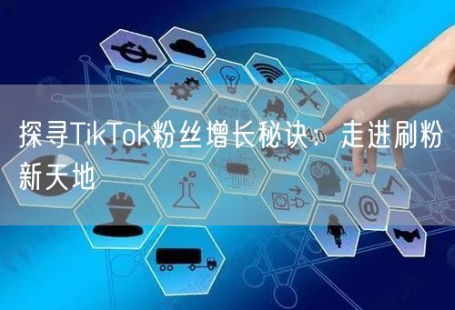 探寻TikTok粉丝增长秘诀:走进刷粉新天地