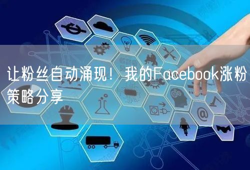 让粉丝自动涌现!我的Facebook涨粉策略分享