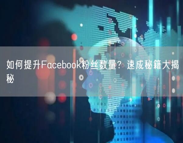 如何提升Facebook粉丝数量?速成秘籍大揭秘