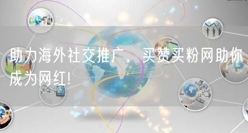 助力海外社交推广,买赞买粉网助你成为网红!