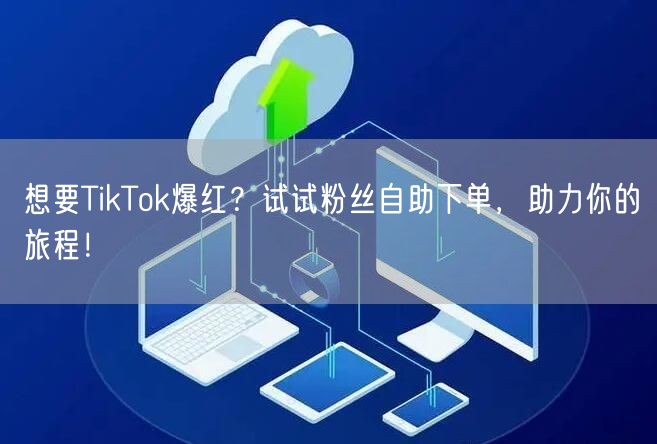 想要TikTok爆红？试试粉丝自助下单，助力你的旅程！