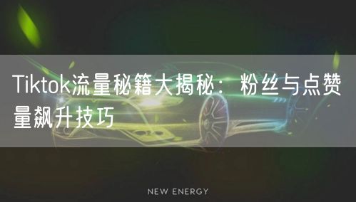 Tiktok流量秘籍大揭秘：粉丝与点赞量飙升技巧
