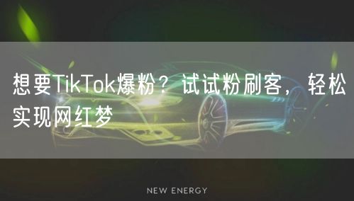 想要TikTok爆粉?试试粉刷客,轻松实现网红梦