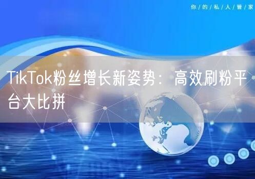 TikTok粉丝增长新姿势：高效刷粉平台大比拼