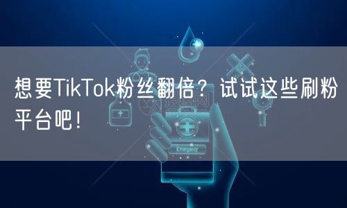 想要TikTok粉丝翻倍？试试这些刷粉平台吧！
