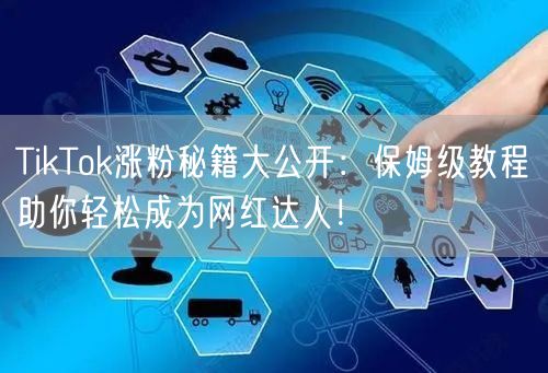 TikTok涨粉秘籍大公开:保姆级教程助你轻松成为网红达人!