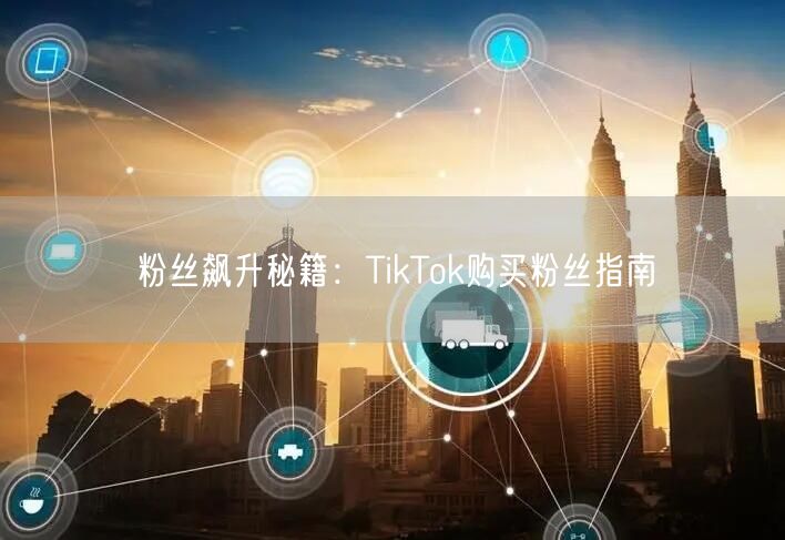 粉丝飙升秘籍:TikTok购买粉丝指南