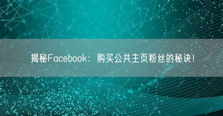 揭秘Facebook:购买公共主页粉丝的秘诀!