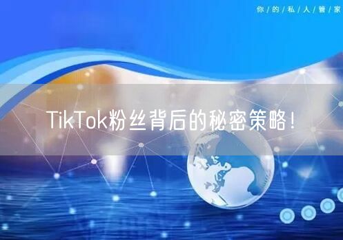 TikTok粉丝背后的秘密策略!