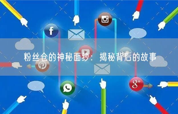 粉丝仓的神秘面纱:揭秘背后的故事