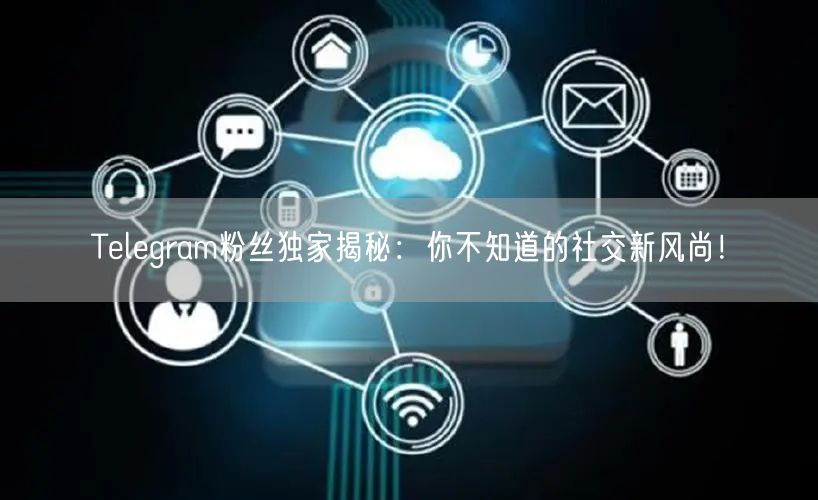 Telegram粉丝独家揭秘:你不知道的社交新风尚!