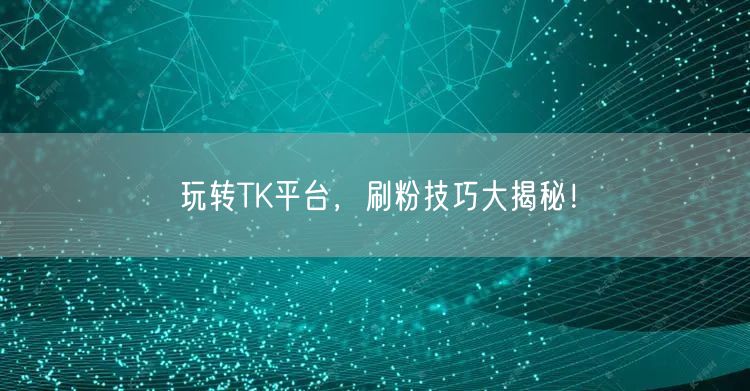 玩转TK平台,刷粉技巧大揭秘!