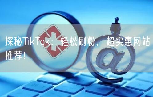 探秘TikTok:轻松刷粉,超实惠网站推荐!