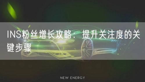 INS粉丝增长攻略:提升关注度的关键步骤