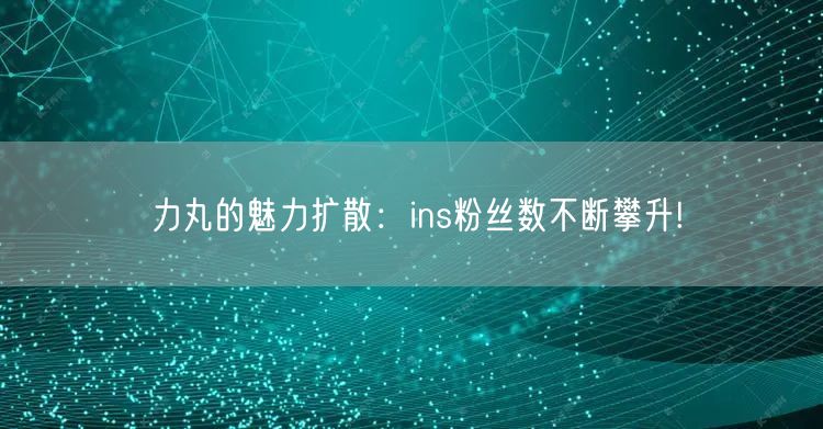 力丸的魅力扩散:ins粉丝数不断攀升!