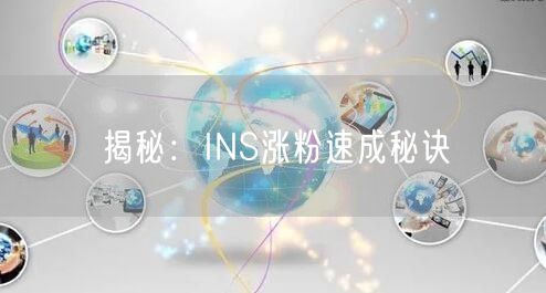 揭秘：INS涨粉速成秘诀
