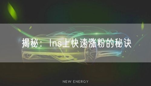 揭秘:Ins上快速涨粉的秘诀