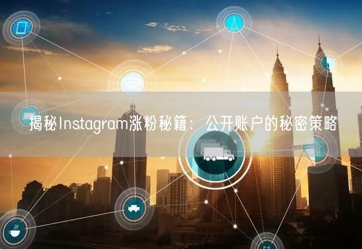 揭秘Instagram涨粉秘籍：公开账户的秘密策略