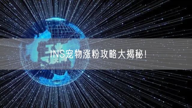 INS宠物涨粉攻略大揭秘！