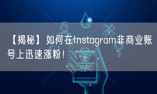 【揭秘】如何在Instagram非商业账号上迅速涨粉!