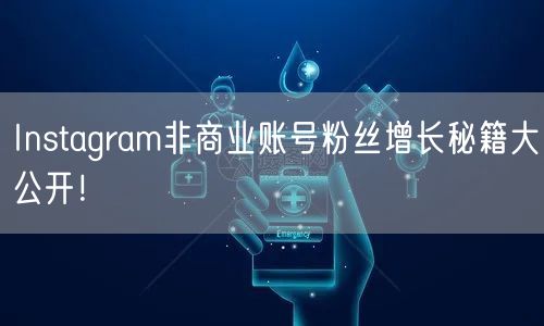 Instagram非商业账号粉丝增长秘籍大公开!