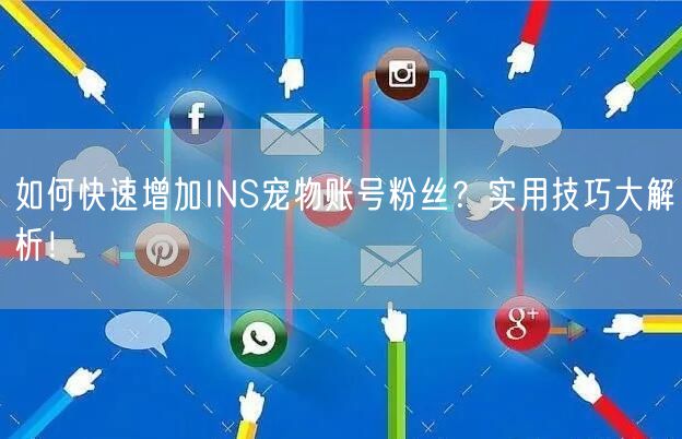 如何快速增加INS宠物账号粉丝?实用技巧大解析!