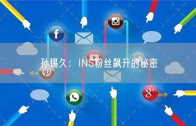 孙锡久:INS粉丝飙升的秘密