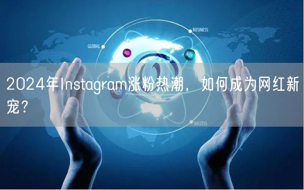2024年Instagram涨粉热潮,如何成为网红新宠?