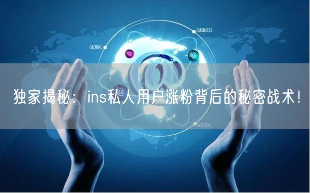 独家揭秘：ins私人用户涨粉背后的秘密战术！