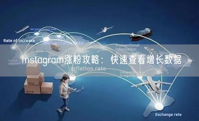 Instagram涨粉攻略:快速查看增长数据