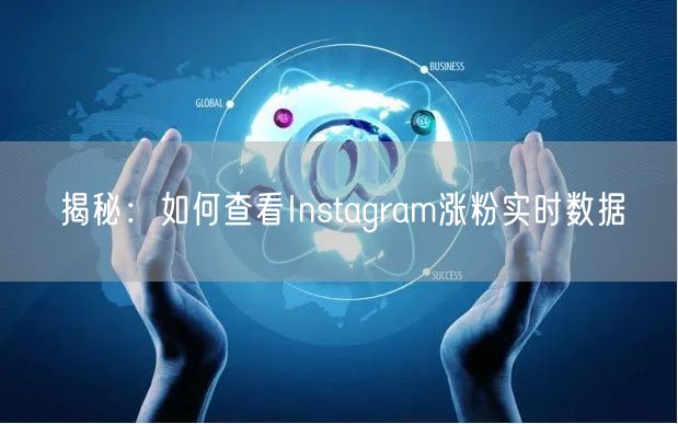 揭秘：如何查看Instagram涨粉实时数据