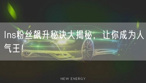 Ins粉丝飙升秘诀大揭秘,让你成为人气王!