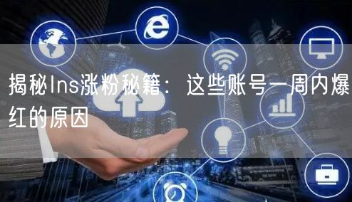 揭秘Ins涨粉秘籍:这些账号一周内爆红的原因