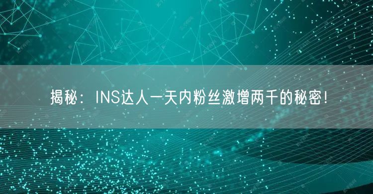 揭秘:INS达人一天内粉丝激增两千的秘密!