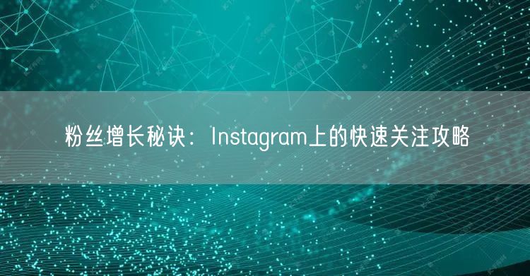 粉丝增长秘诀：Instagram上的快速关注攻略