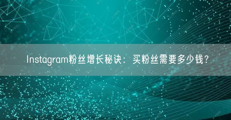 Instagram粉丝增长秘诀:买粉丝需要多少钱?