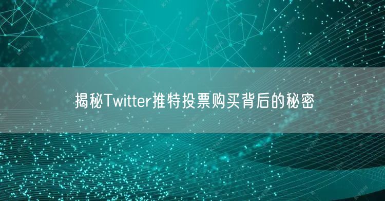 揭秘Twitter推特投票购买背后的秘密