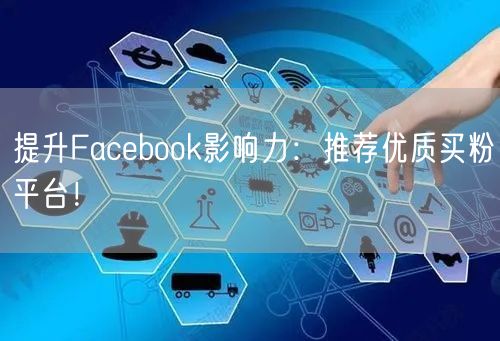 提升Facebook影响力:推荐优质买粉平台!