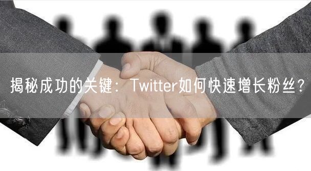 揭秘成功的关键：Twitter如何快速增长粉丝？