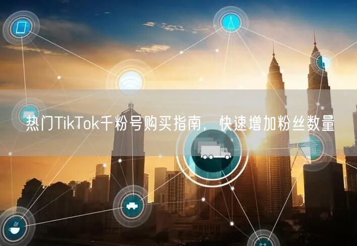 热门TikTok千粉号购买指南,快速增加粉丝数量