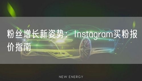 粉丝增长新姿势：Instagram买粉报价指南
