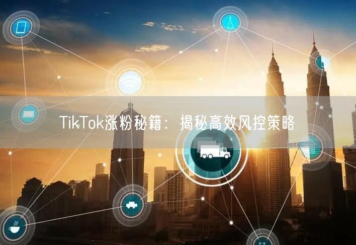 TikTok涨粉秘籍:揭秘高效风控策略