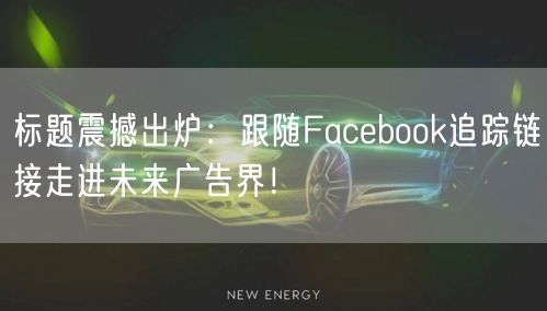 标题震撼出炉：跟随Facebook追踪链接走进未来广告界！
