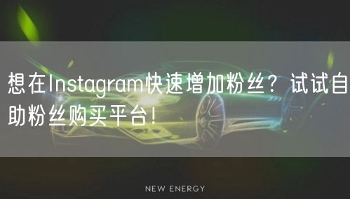 想在Instagram快速增加粉丝？试试自助粉丝购买平台！