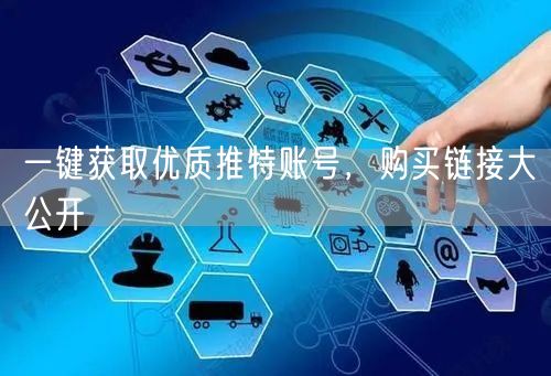 一键获取优质推特账号，购买链接大公开