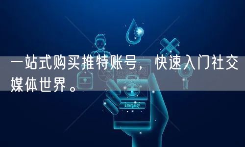 一站式购买推特账号,快速入门社交媒体世界。