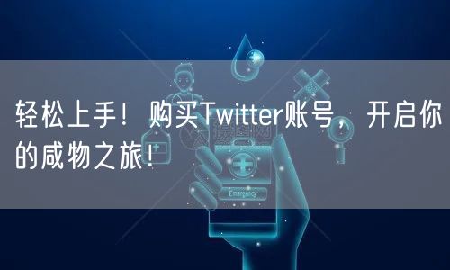 轻松上手!购买Twitter账号,开启你的咸物之旅!